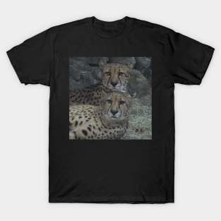 Cheetah T-Shirt